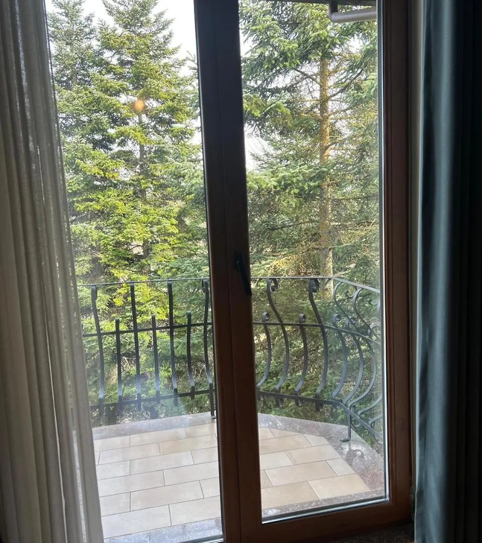 Hotel Bacelli Μοσχόπολη 3*,