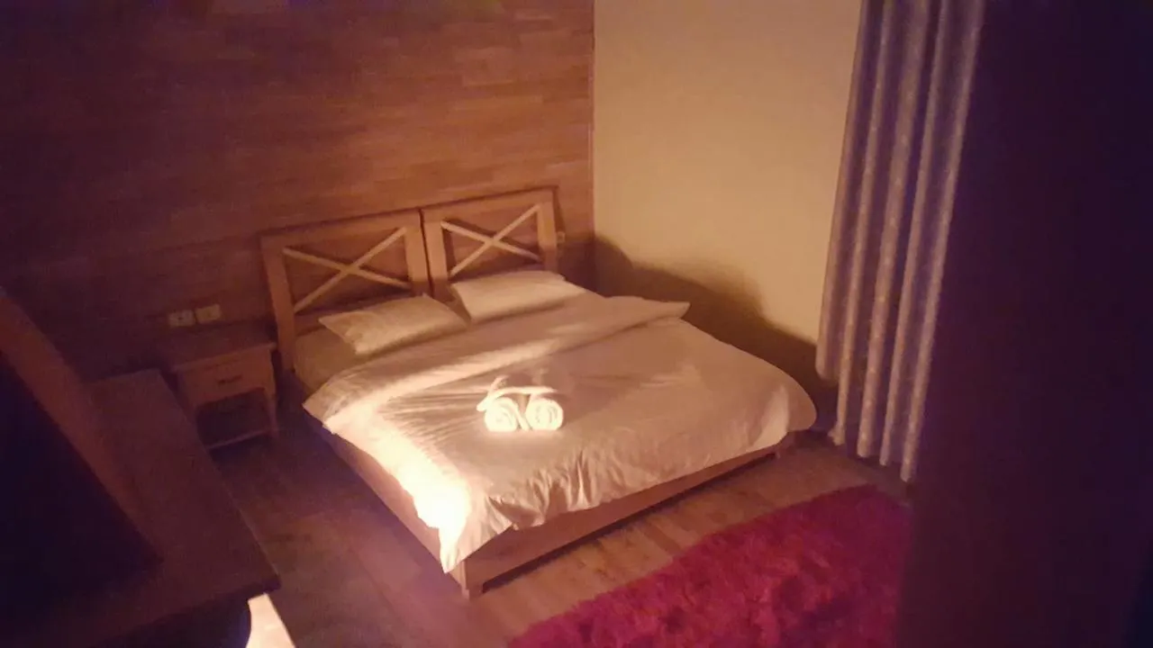 Hotel Bacelli Μοσχόπολη 3*,